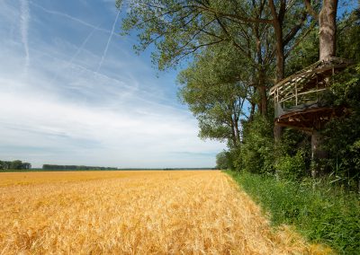Boomhut - © Marc Machielse Fotografie